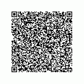 vCard 73812397315