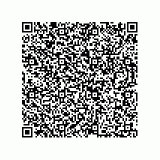 vCard 73812397319