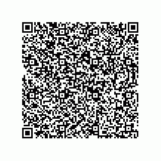 vCard 73812397329