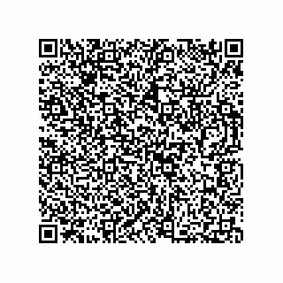 vCard 73812397380