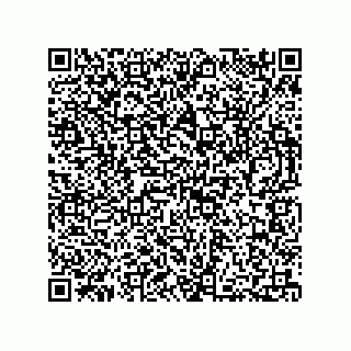 vCard 73812399511
