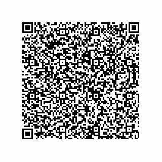 vCard 73812399513