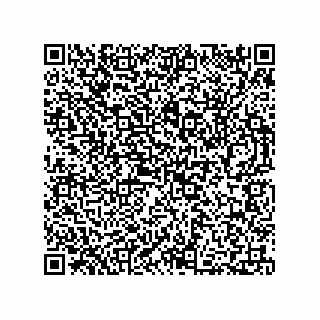 vCard 73812399719