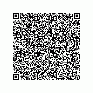 vCard 73812399729
