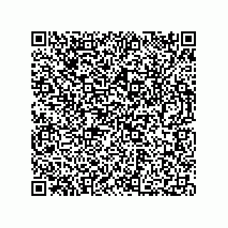 vCard 73812399732