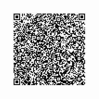 vCard 73812399808