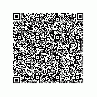 vCard 73812399863