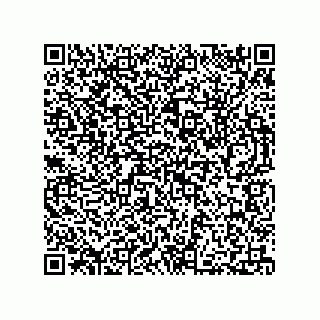 vCard 73812399871