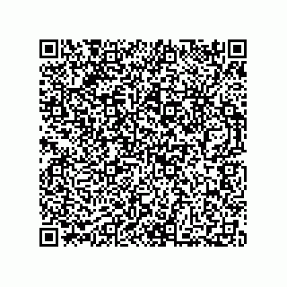 vCard 73812410304