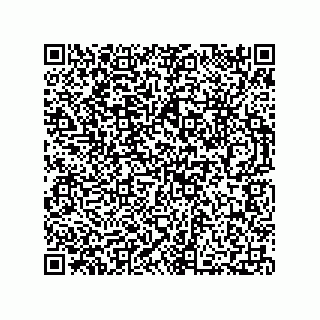 vCard 73812410313