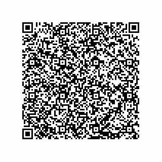 vCard 73812410333