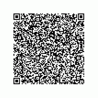 vCard 73812410381