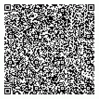 vCard 73812433996