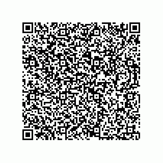 vCard 73812438219