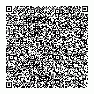 vCard 73812438275
