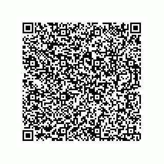 vCard 73812515329