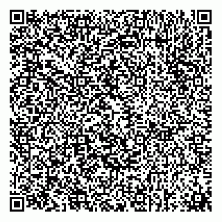 vCard 73812533135