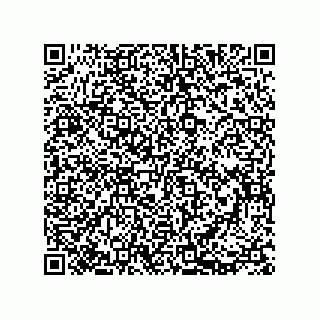 vCard 73812665339