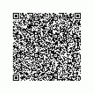vCard 73812691394