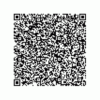 vCard 73812693334