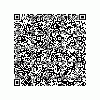 vCard 73812693335