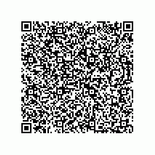 vCard 73812693383