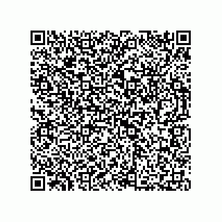vCard 73812693387