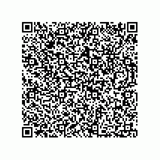 vCard 73812694099