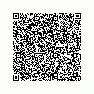 vCard 73812699019