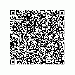 vCard 73812699131