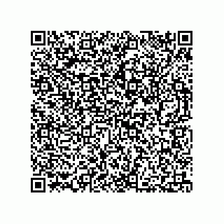 vCard 73812699211