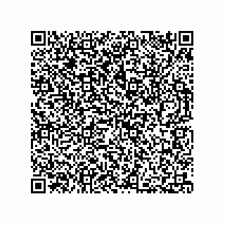 vCard 73812699331