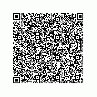 vCard 73812699384