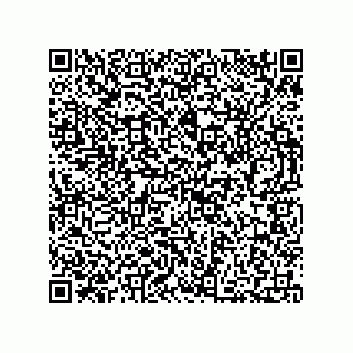 vCard 73812699385