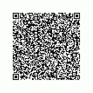 vCard 73812699389