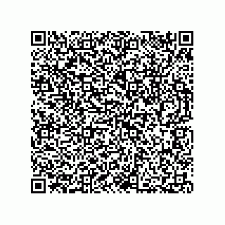 vCard 73812735233