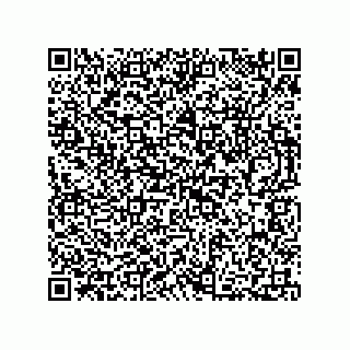 vCard 73812735299