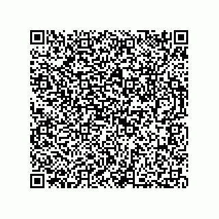 vCard 73812735312