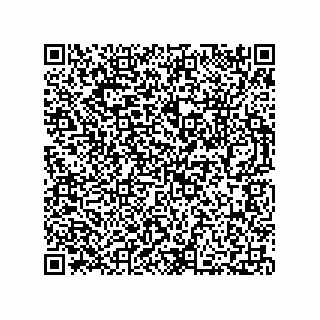 vCard 73812735313