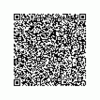 vCard 73812735332