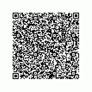 vCard 73812735333