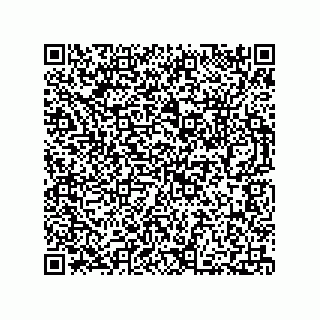 vCard 73812735381