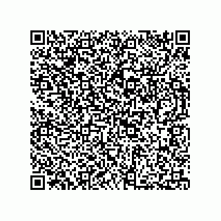 vCard 73812737381