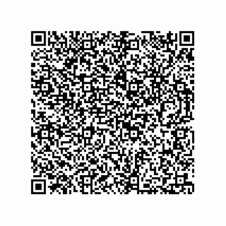 vCard 73812770521