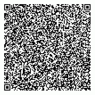 vCard 73812770603
