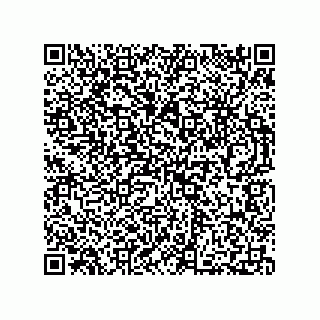vCard 73812770700