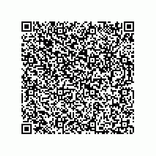 vCard 73812780010