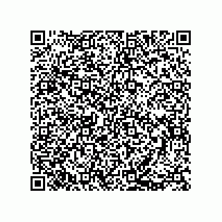 vCard 73812780033
