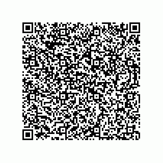 vCard 73812780040