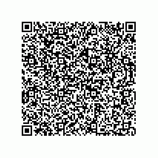 vCard 73812780132